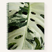 Variegated Monstera Plant Bloemstuk Notitieboek (Voorkant)