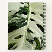 Variegated Monstera Plant Bloemstuk Notitieboek (Achterkant)