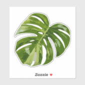 Variegated Monstera Sticker – Clear Cut Leaf (Vel)