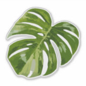 Variegated Monstera Sticker – Helder Uitgesneden B (Voorkant)