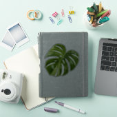 Variegated Monstera Sticker – Helder Uitgesneden B (iPad Cover)