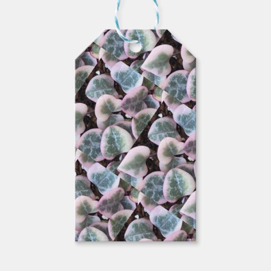 Variegated String of Hearts Gift Labels Cadeaulabel (Voorkant)