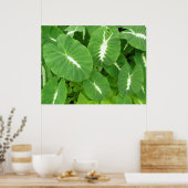Variegated Taro Poster (Keuken)