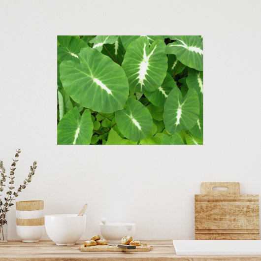 Variegated Taro Poster (Keuken)