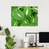 Variegated Taro Poster (Thuiskantoor)
