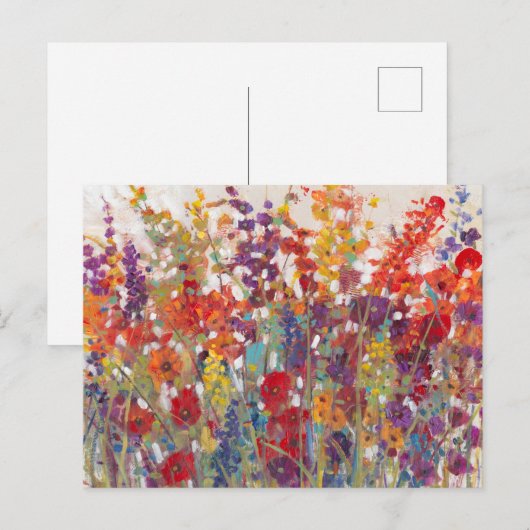 Variëteit bloemen briefkaart (Voorkant / Achterkant)