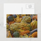 Variëteit van pompoen briefkaart (Voorkant / Achterkant)