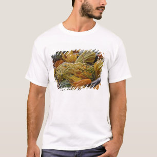 Variëteit van pompoen t-shirt