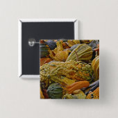 Variëteit van pompoen vierkante button 5,1 cm (Voorkant /achterkant)