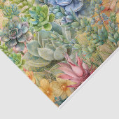 Variëteit van vetplanten tissuepapier (Detail)