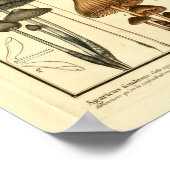  variëteiten van bruine paddenstoelen, Franse afdr Poster (Hoek)