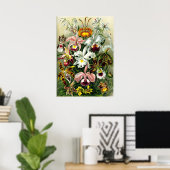 Varieties van Orchids lithografisch door Ernst Hae Poster (Thuiskantoor)