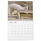 Various animals of South America Calendar Kalender (Feb 2026)
