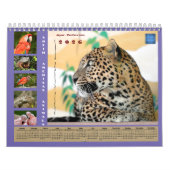 Various animals of South America Calendar Kalender (Hoes)