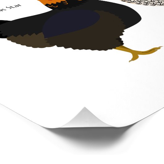 various colors&patterns chickens poster (Hoek)