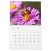Various insects 12 month calendar kalender (Mar 2026)