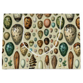 Various kinds of Egg Scientific Illustration Groot Cadeauzakje (Voorkant)