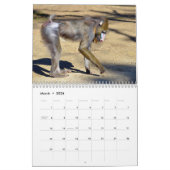 Various monkeys calendar kalender (Mar 2026)