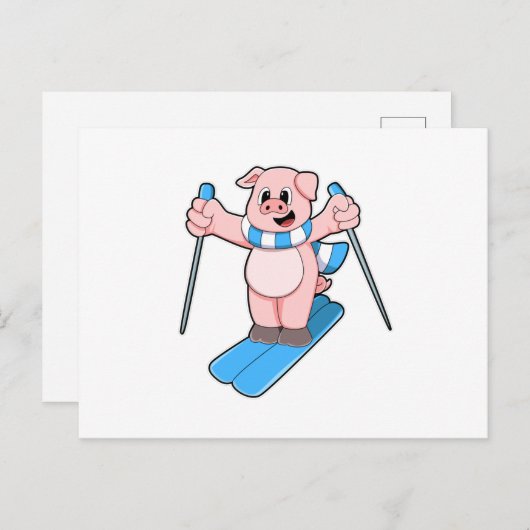 Varken als Skiloper met Skisjaal & Skistokken Briefkaart (Voorkant / Achterkant)