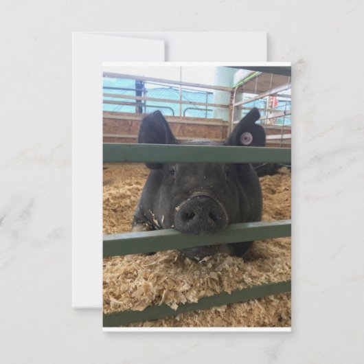 Varken blanco binnenkant kaart (Voorkant)