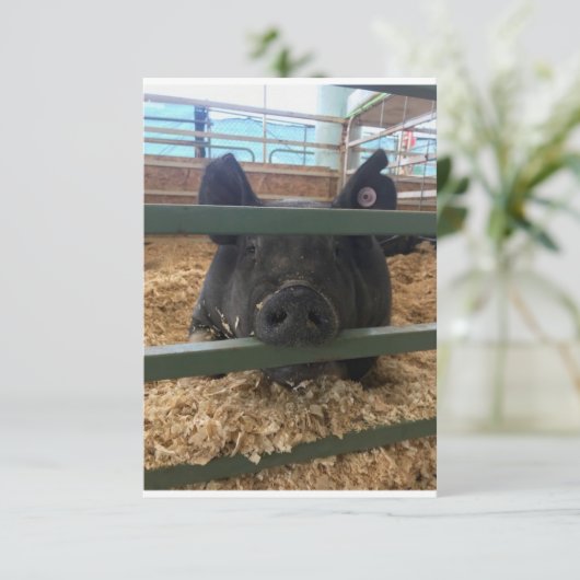 Varken blanco binnenkant kaart (Staand voorkant)