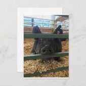 Varken blanco binnenkant kaart (Voorkant / Achterkant)