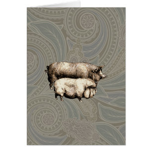 Varken Boerderij Land Antiek Illustratie Art