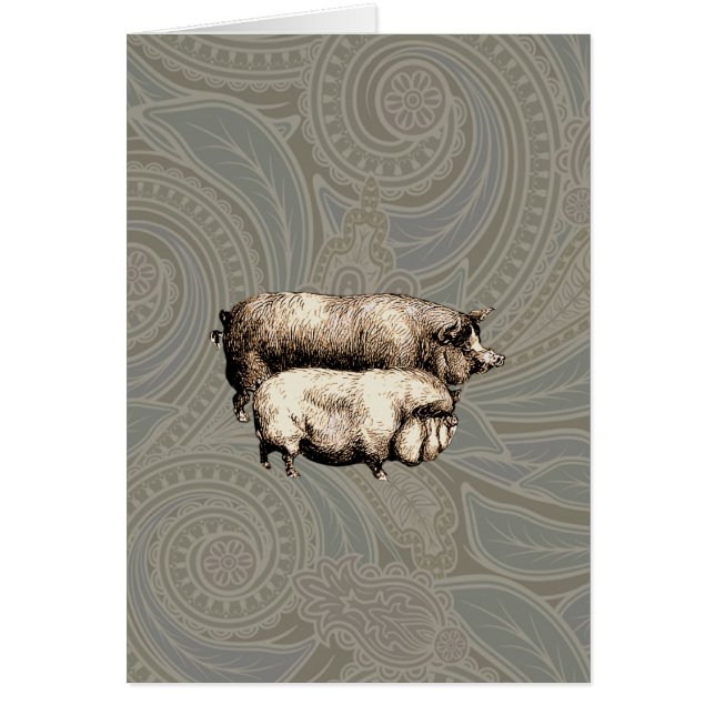 Varken Boerderij Land Antiek Illustratie Art (Voorkant)