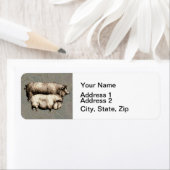 Varken Boerderij Land Antiek Illustratie Art Etiket (Insitu)