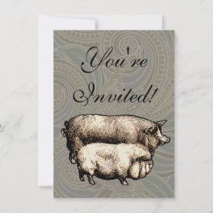 Varken Boerderij Land Antiek Illustratie Art Kaart