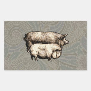 Varken Boerderij Land Antiek Illustratie Art Rechthoekige Sticker