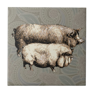 Varken Boerderij Land Antiek Illustratie Art Tegeltje