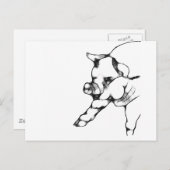 varken briefkaart (Voorkant / Achterkant)