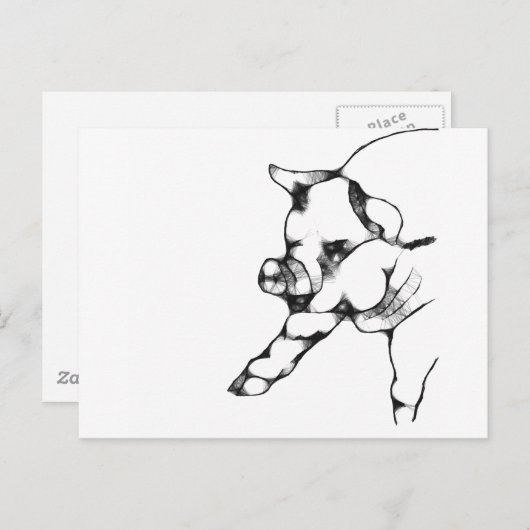 varken briefkaart (Voorkant / Achterkant)