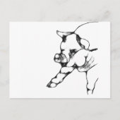 varken briefkaart (Voorkant)