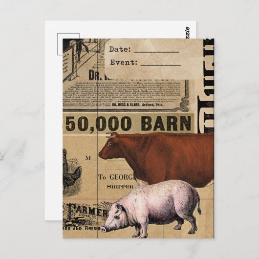  Varken en Koe Collage Briefkaart (Voorkant / Achterkant)