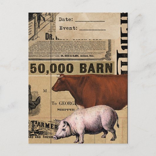  Varken en Koe Collage Briefkaart (Voorkant)