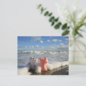 varken en koe op het strand briefkaart (Staand voorkant)