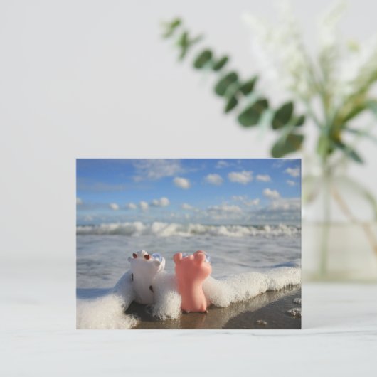 varken en koe op het strand briefkaart (Staand voorkant)