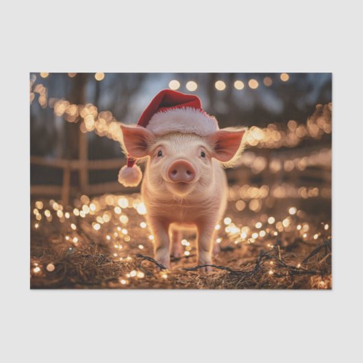Varken in een Santa Hat Decoupage Tissuepapier (Voorkant)