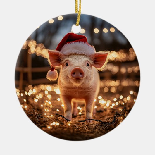 Varken in een Santa Hat Keramisch Ornament (Voorkant)