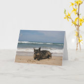 Varken IN Paradijs Kaart (Gele Bloem)