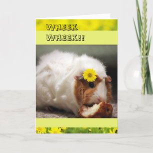 Varken Moederdag Kaart