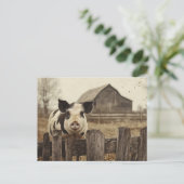 varken op een Boerderij Briefkaart (Staand voorkant)