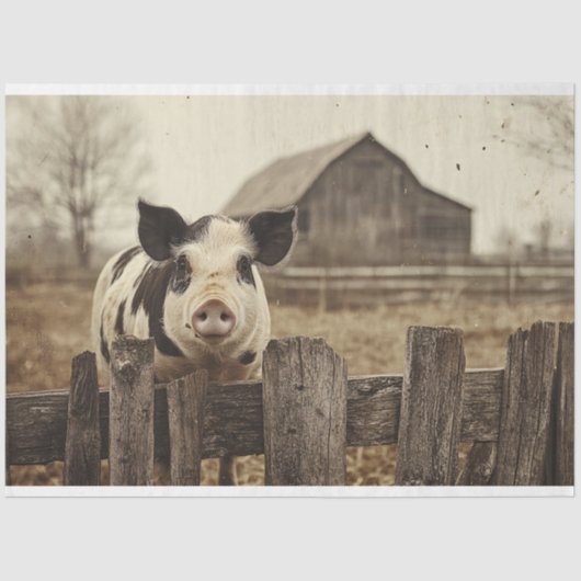  varken op een Boerderij Decoupage Tissuepapier (Voorkant)