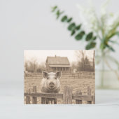Varken op het Boerderij stijl Briefkaart (Staand voorkant)