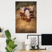 Varken - Over hindernissen komen Poster (Thuiskantoor)