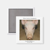 Varken Promo Stuk Magneet (Voorkant / Achterkant)