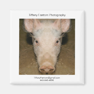 Varken Promo Stuk Magneet