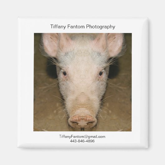 Varken Promo Stuk Magneet (Voorkant)